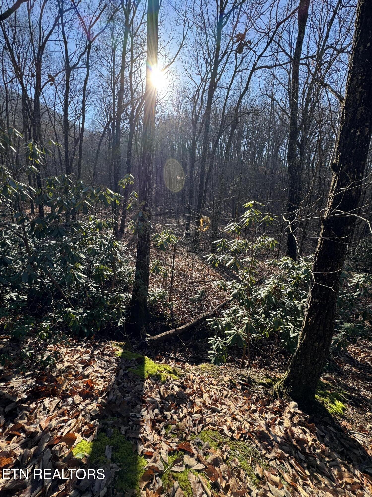 Eagle Ridge Rd, Maryville, TN 37803