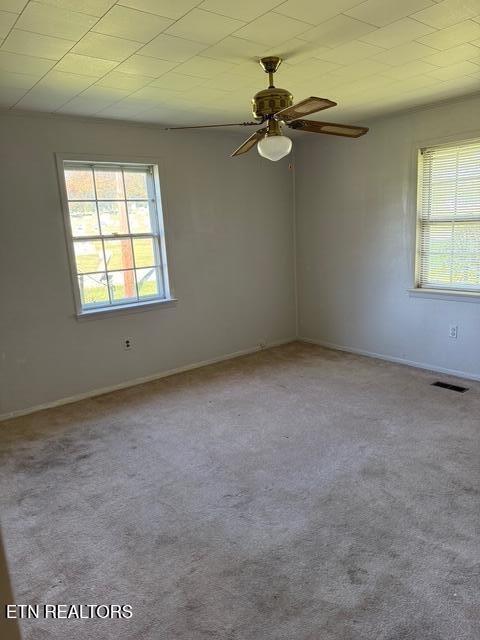 Pratt St, Pikeville, TN 37367