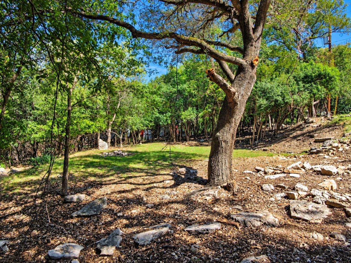 Casa Grande Dr, Austin, TX 78733