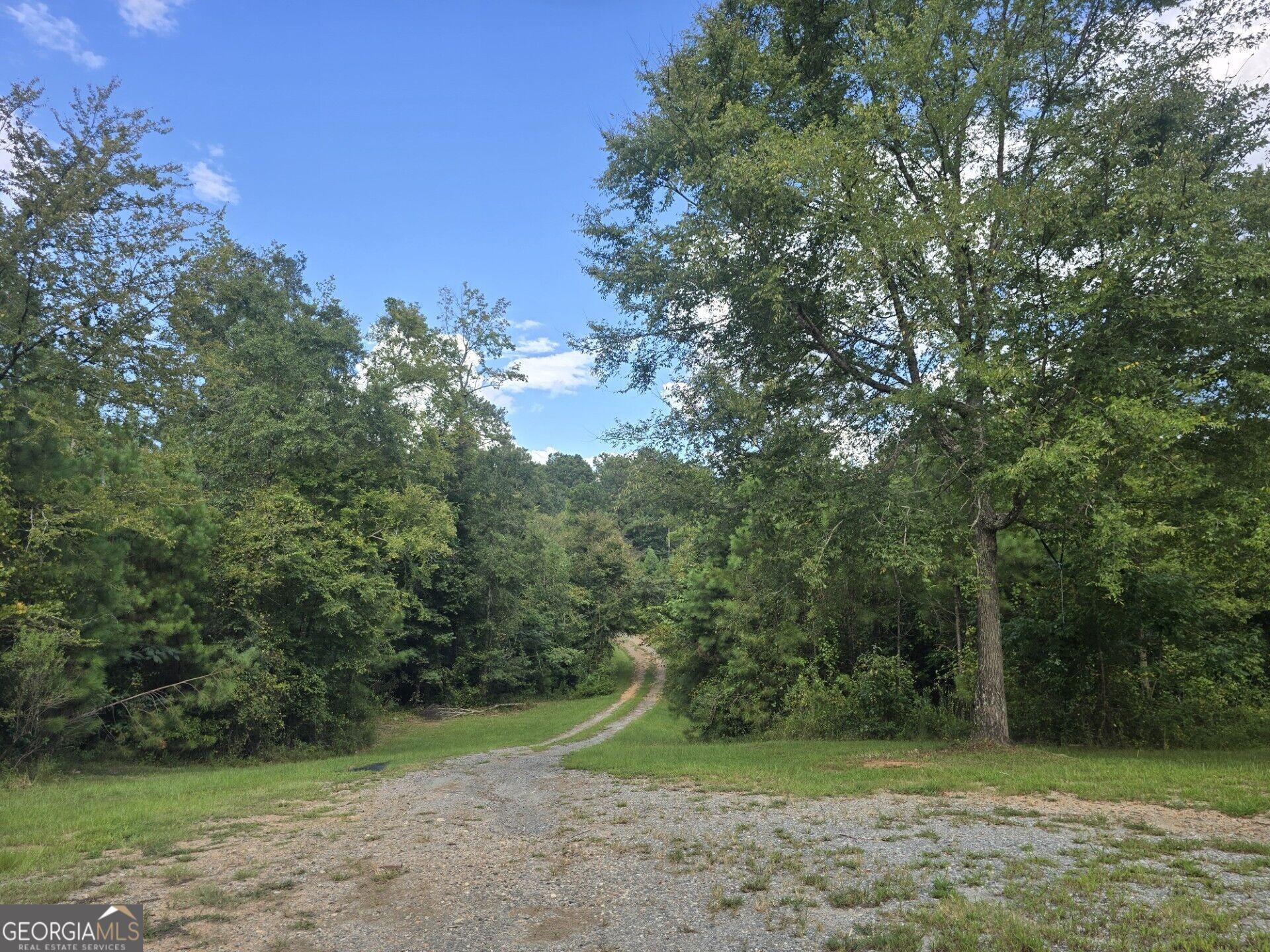Bagley Rd, Forsyth, GA 31029