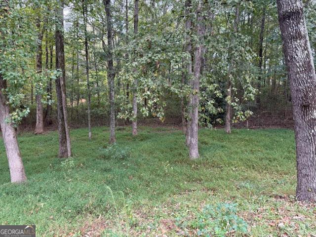 E Lake Pkwy, Mcdonough, GA 30253