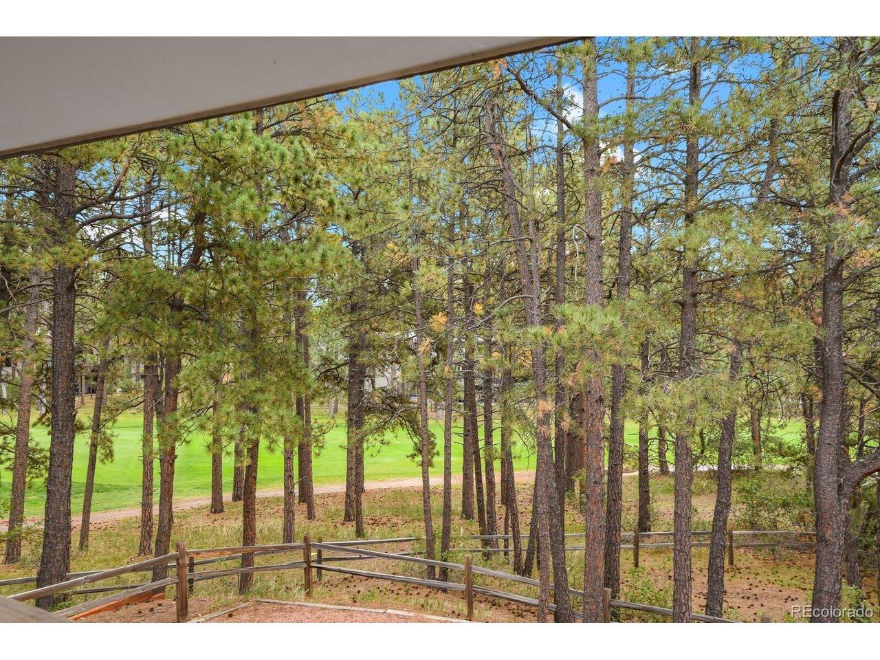 Saint Andrews Dr, Monument, CO 80132