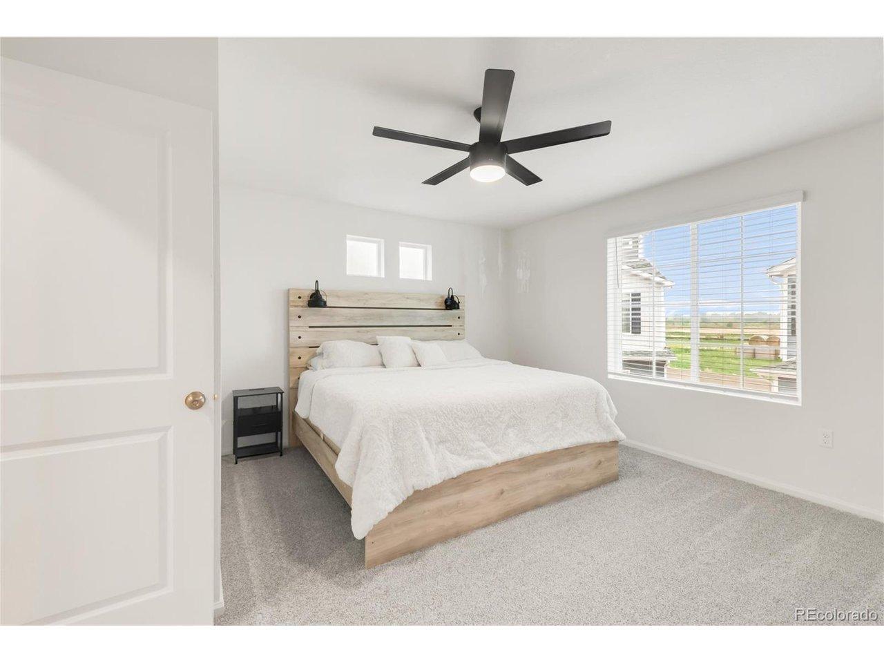Zebrawood Ln, Johnstown, CO 80534