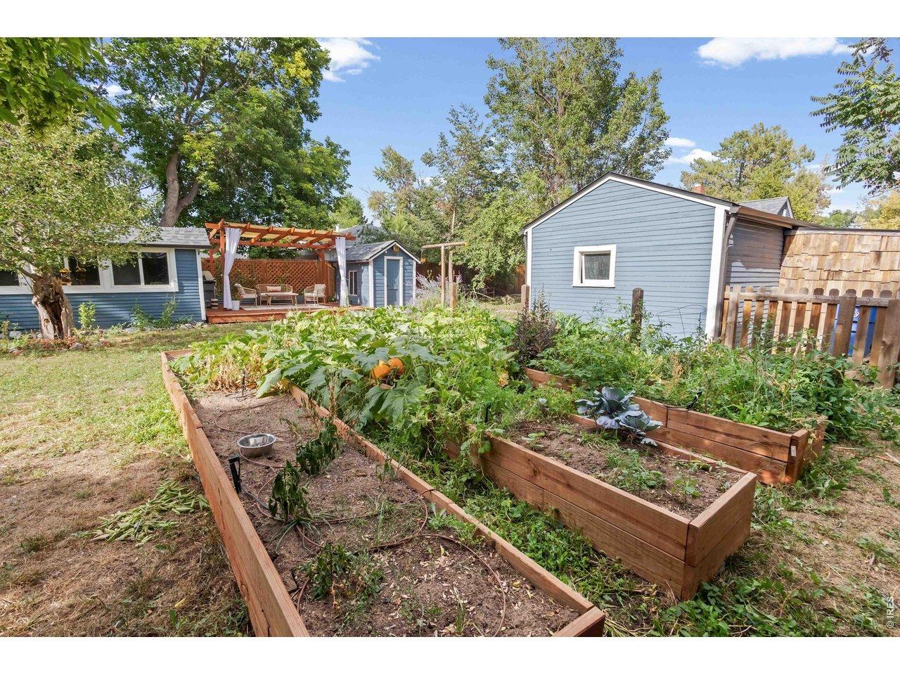 Harlan St, Wheat Ridge, CO 80033