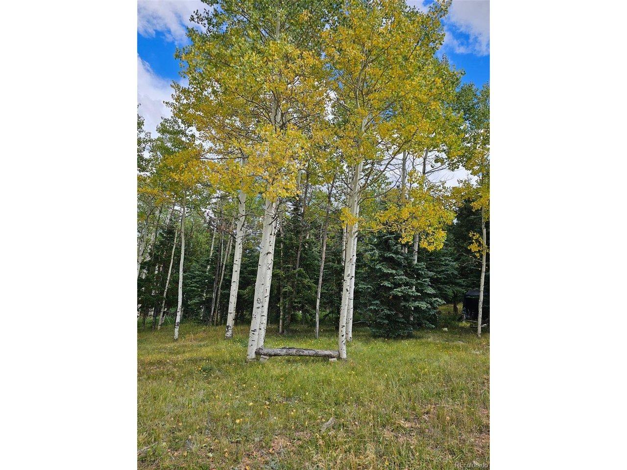 Will Stutley Dr, Divide, CO 80814