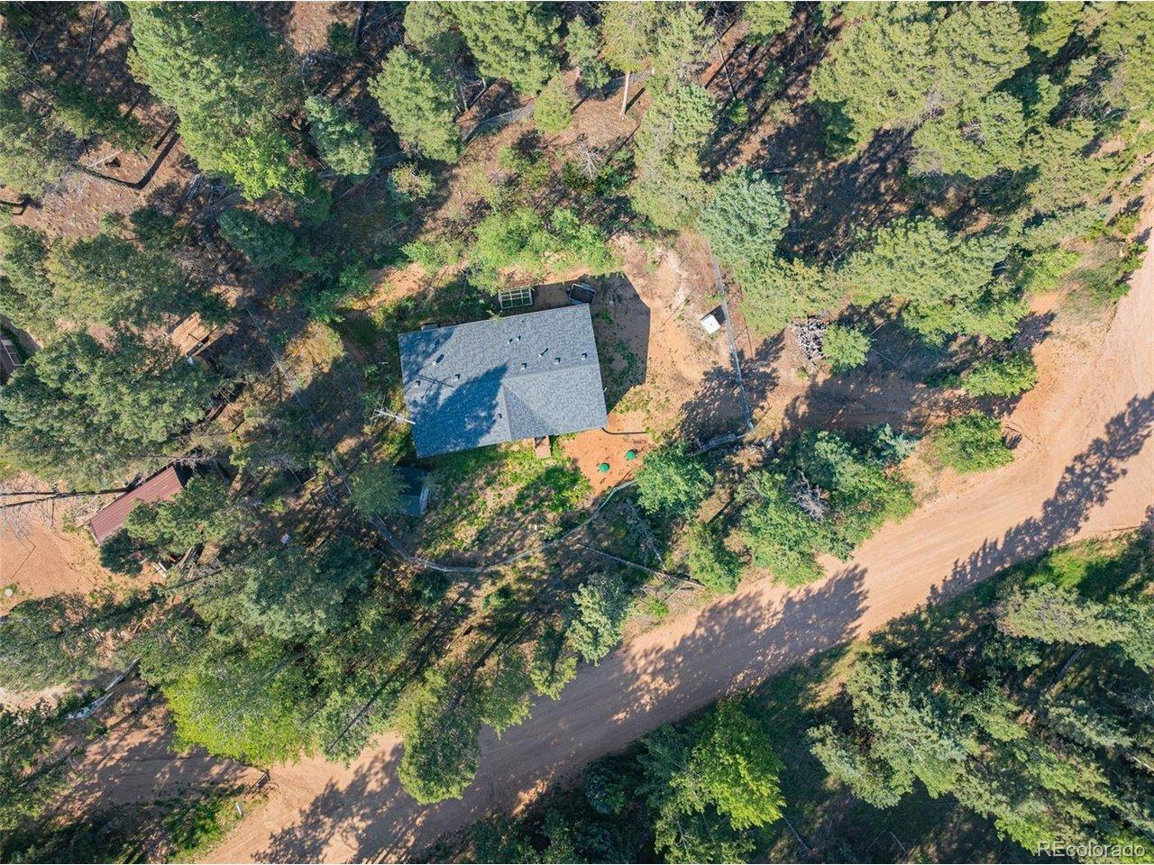 Silver Trl, Florissant, CO 80816
