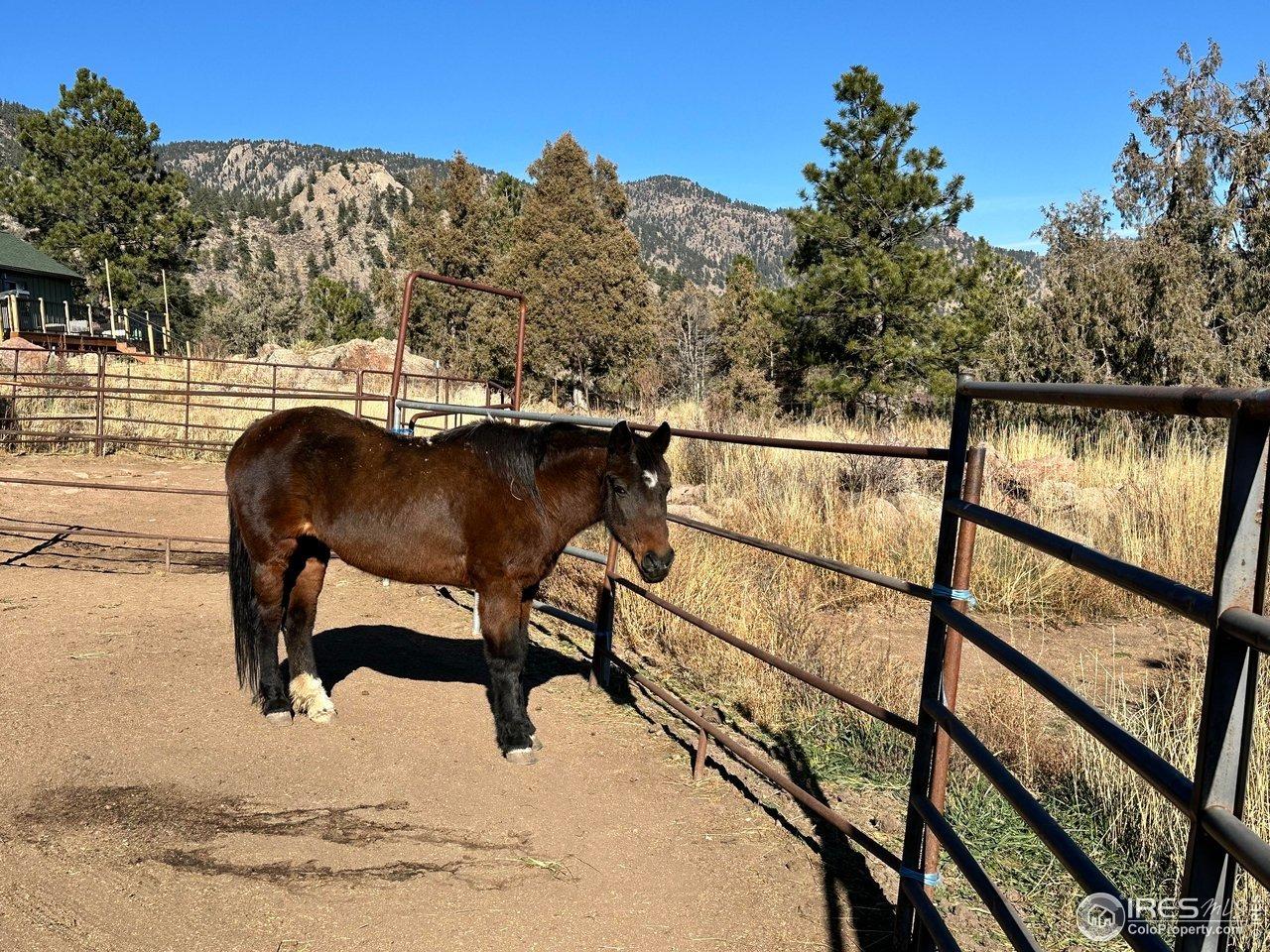 Mohawk Rd, Lyons, CO 80540