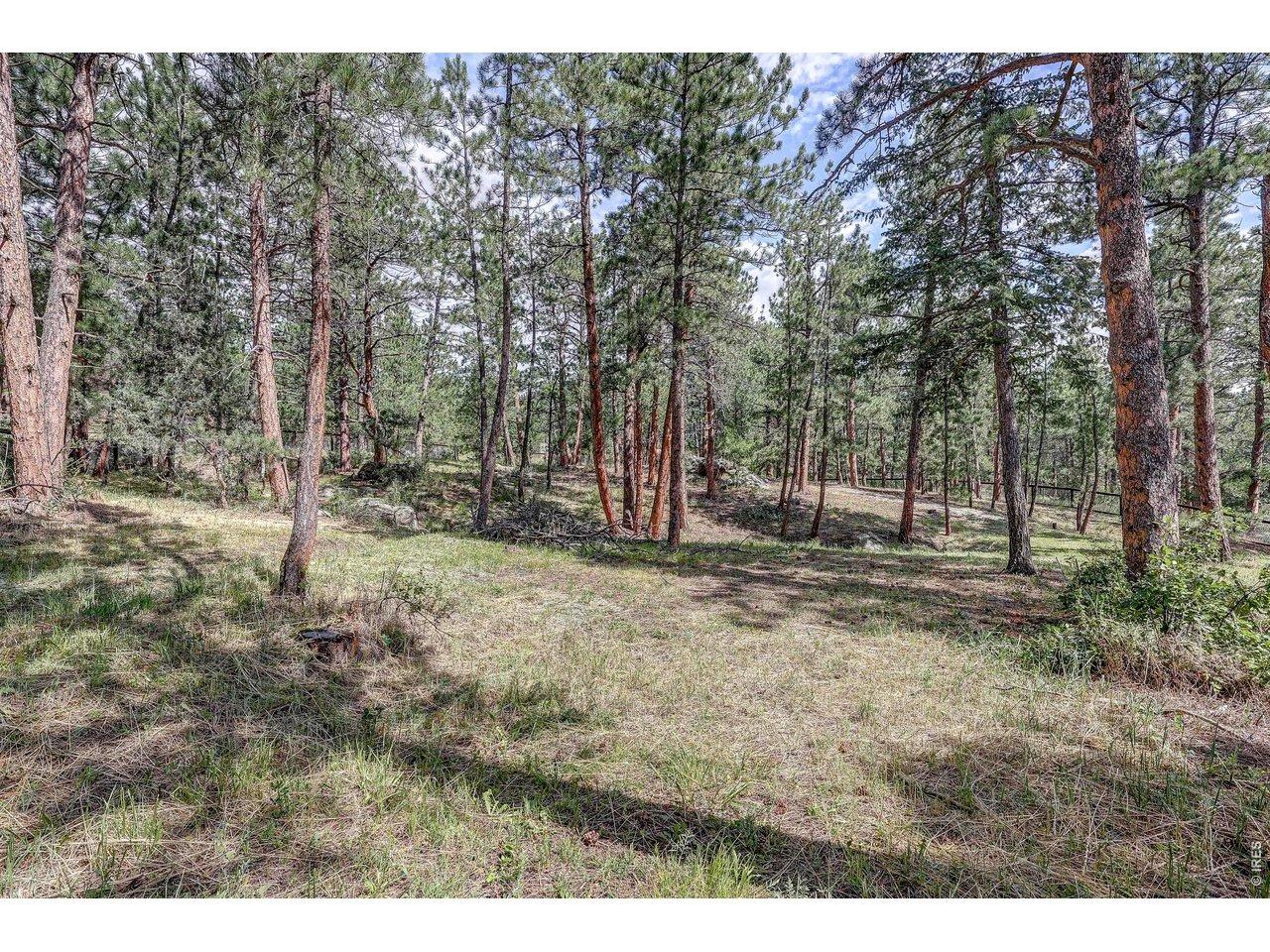 Cherokee Rd, Lyons, CO 80540
