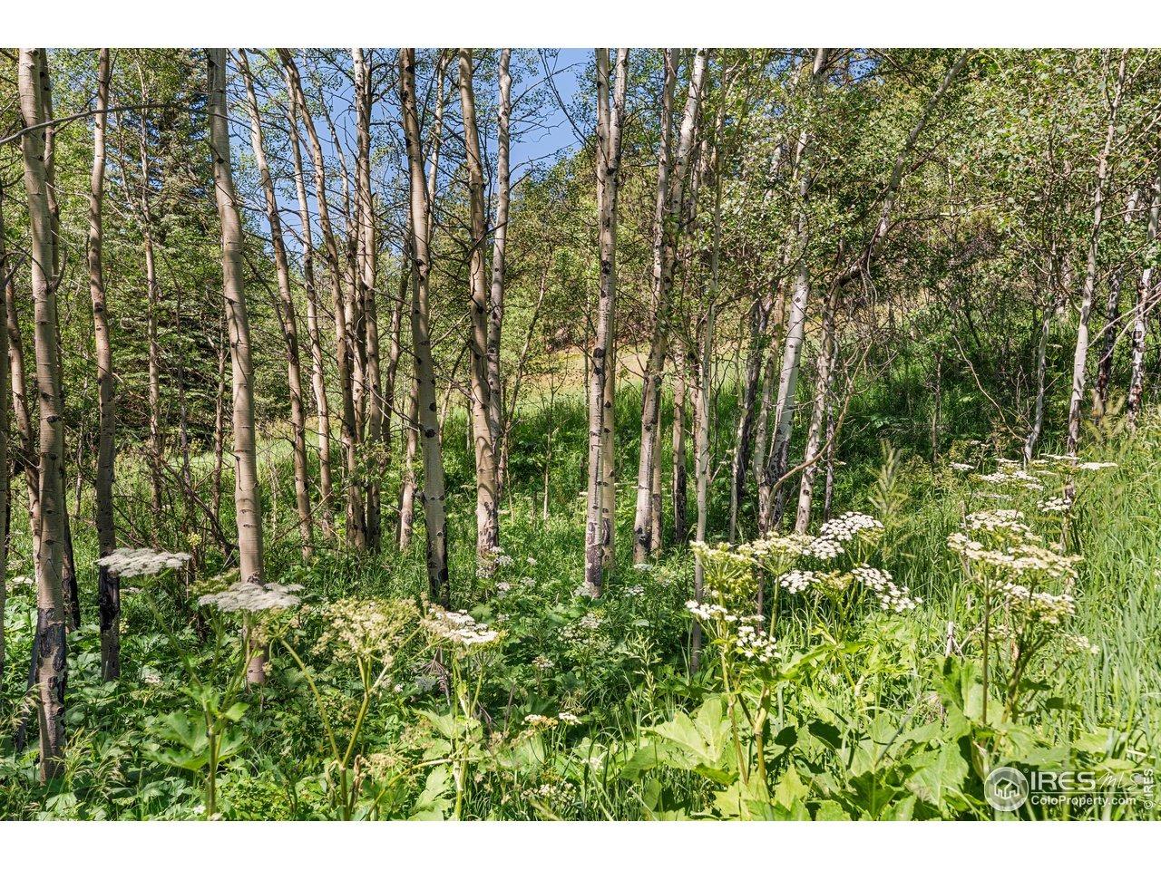 Primos Rd, Boulder, CO 80302