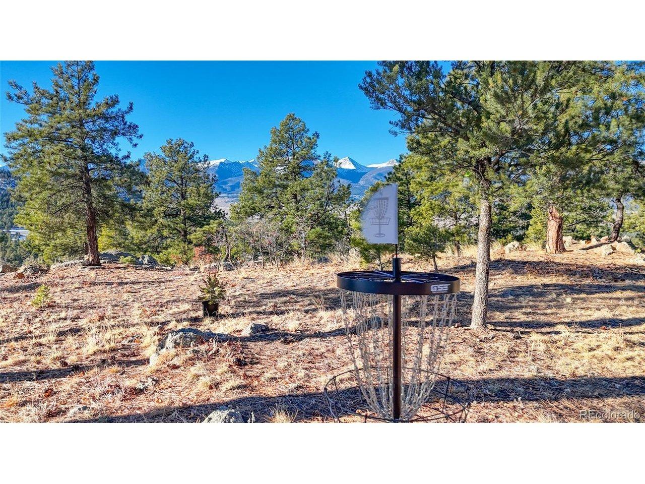 Pheasant Loop, Westcliffe, CO 81252