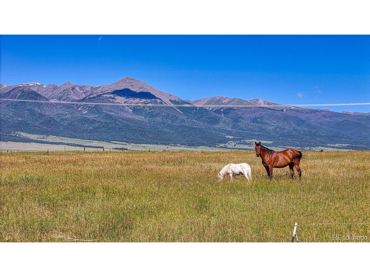 Muirfield Dr, Westcliffe, CO 81252