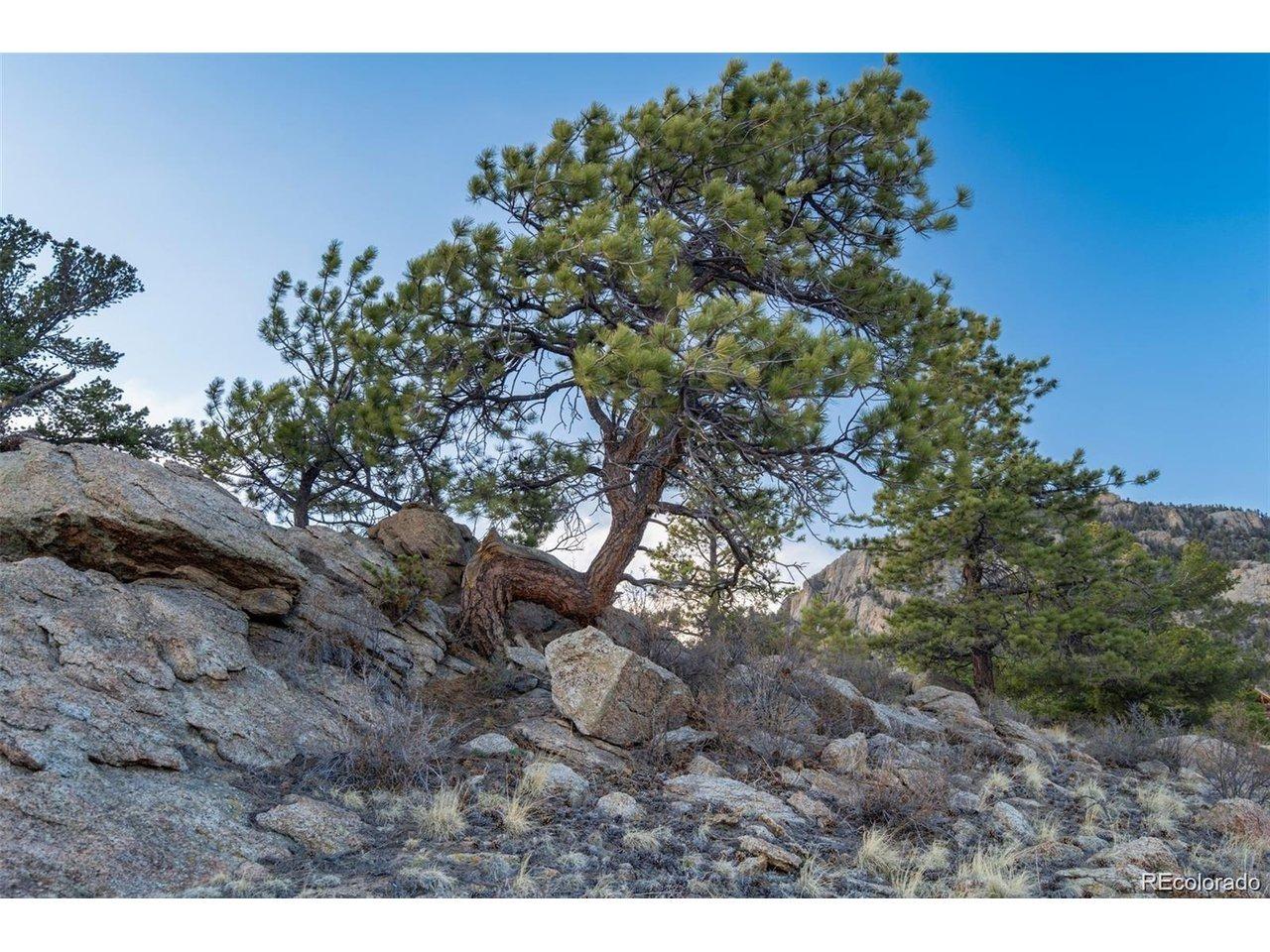 Tiara Rd, Lake George, CO 80827