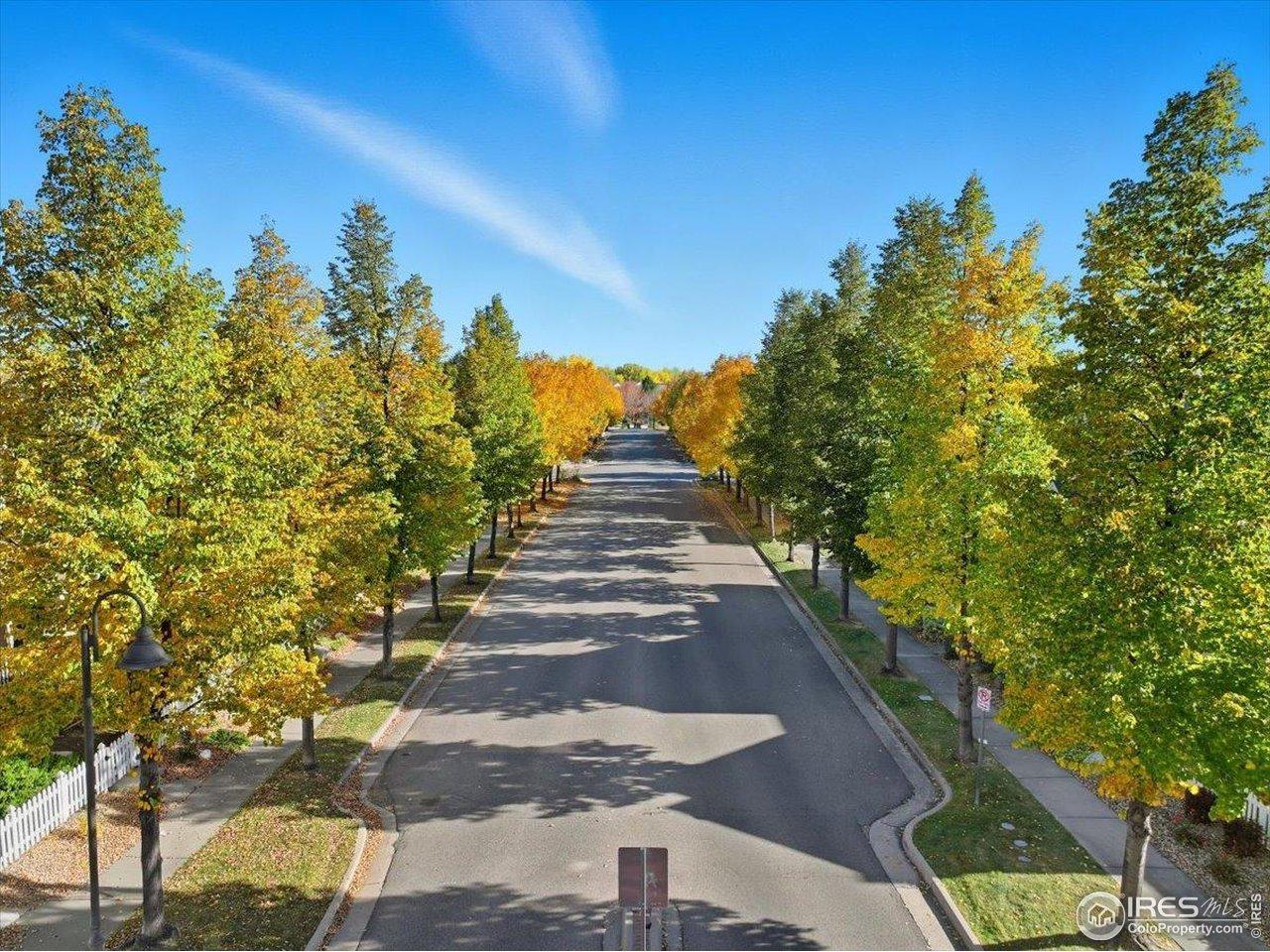 Piney River Dr, Loveland, CO 80538