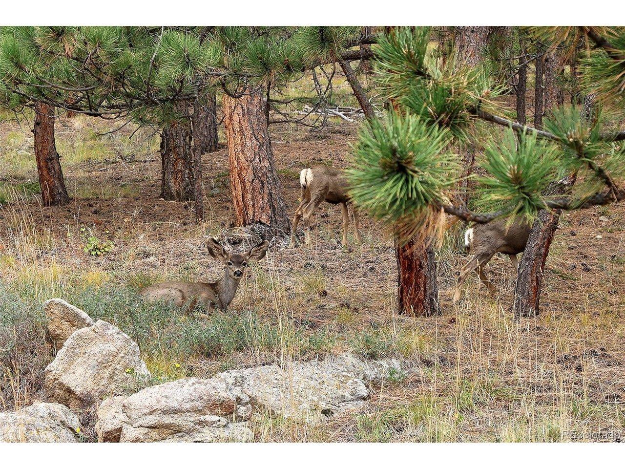 Sylvan Rd, Golden, CO 80403
