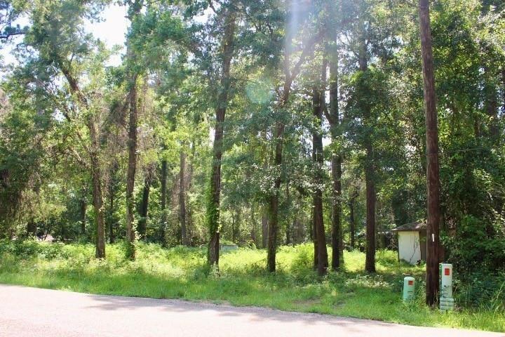 Dogwood Trl, Montgomery, TX 77316