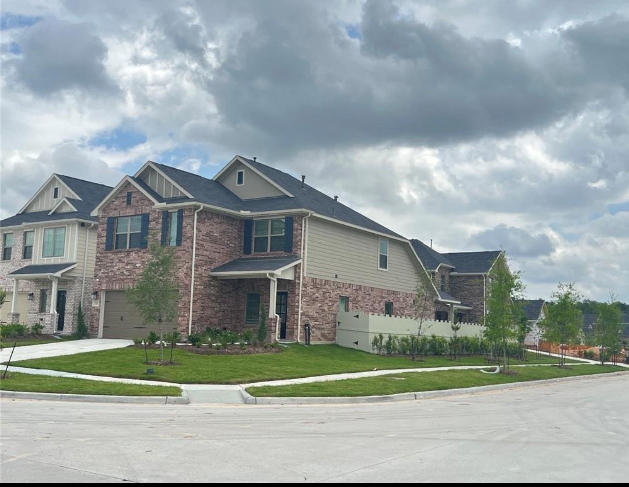 Tree Of Heaven, Conroe, TX 77385