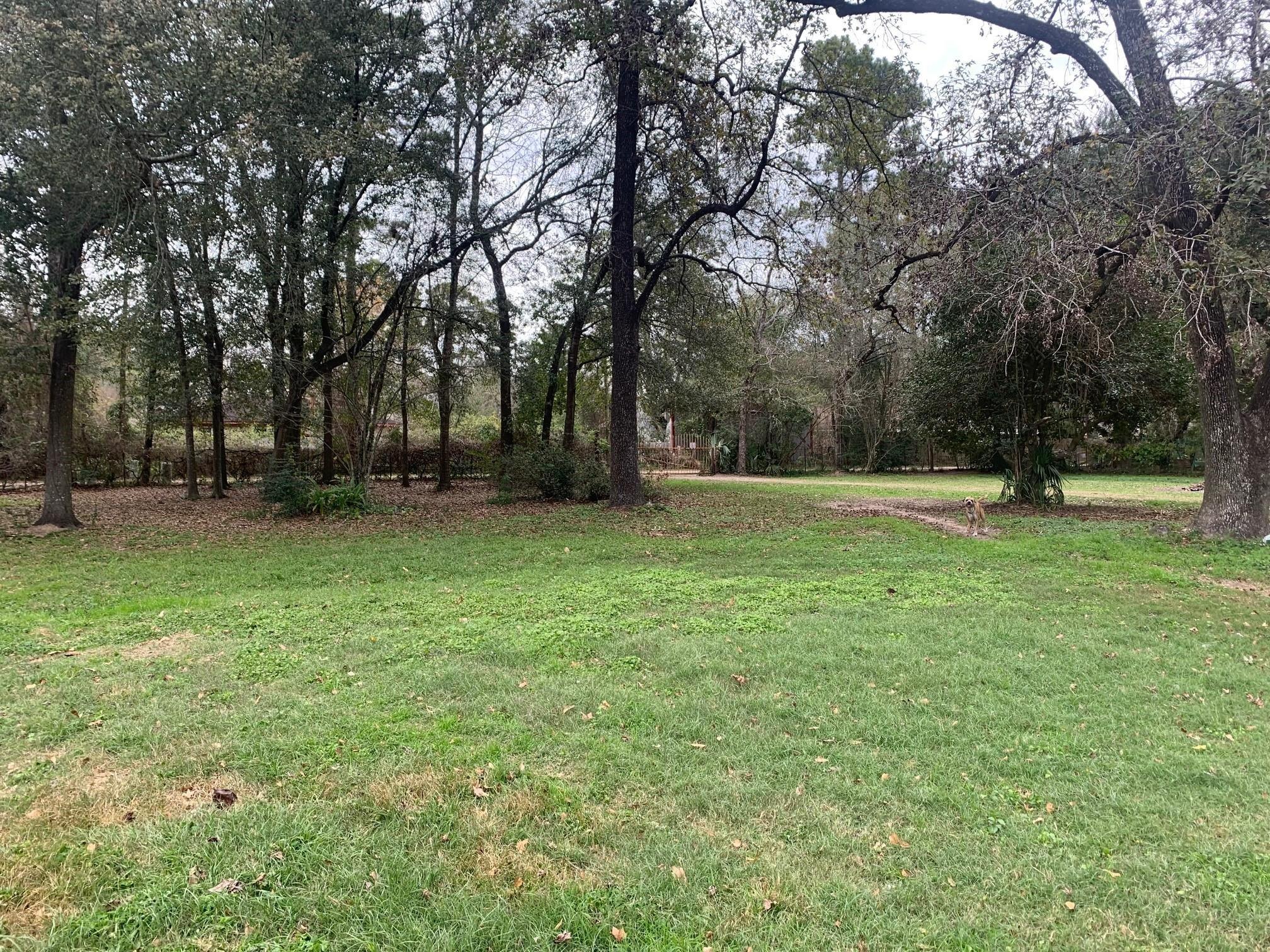 Hudson, New Caney, TX 77357