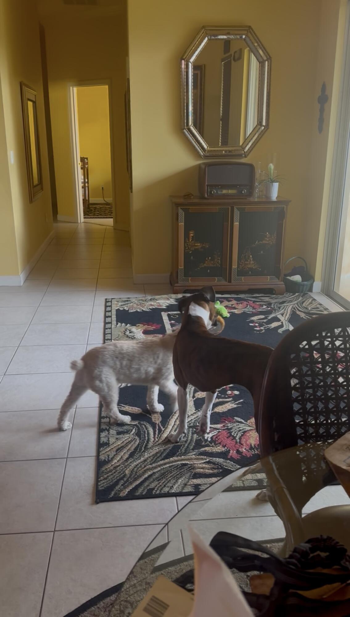 Sw Westlawn Blvd, Port Saint Lucie, FL 34987