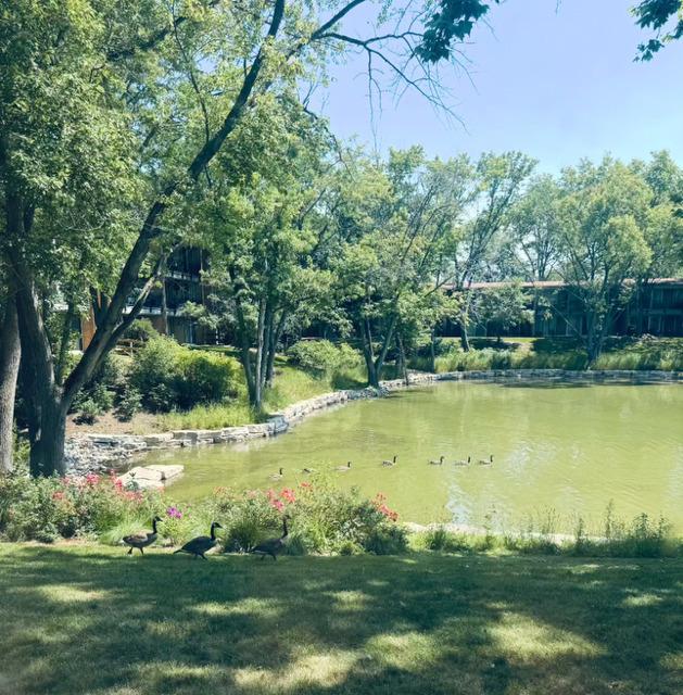 E Lake Dr, Lisle, IL 60532