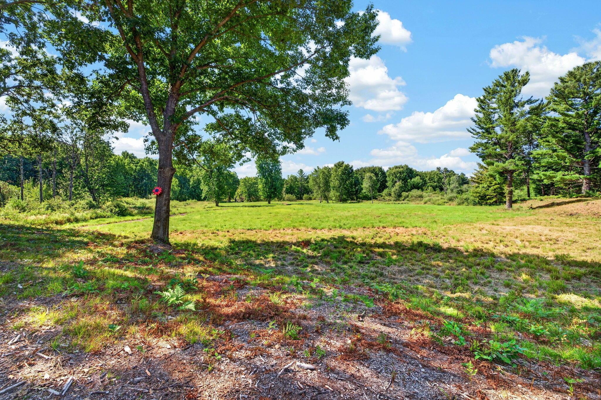 E Shores Dr, Free Soil, MI 49411