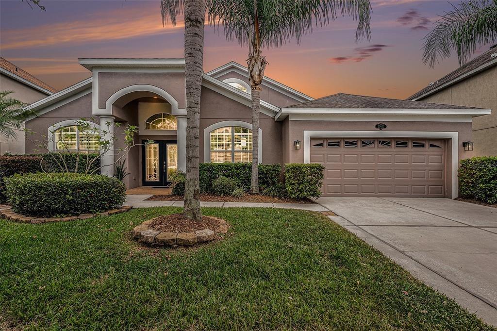 Painting Nature Ln, Tampa, FL 33647