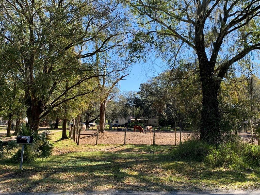Watson Rd, Riverview, FL 33578
