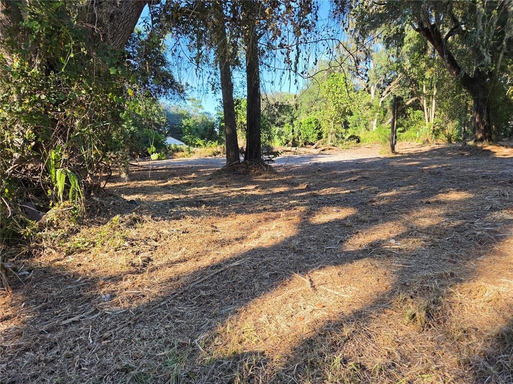 Se 81st St, Ocala, FL 34480