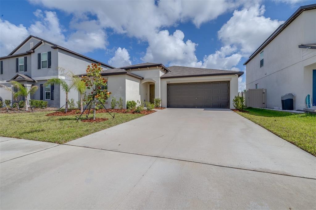 Fiddle Fig Ave, Wimauma, FL 33598
