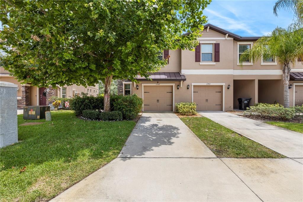 Castine St, New Port Richey, FL 34654