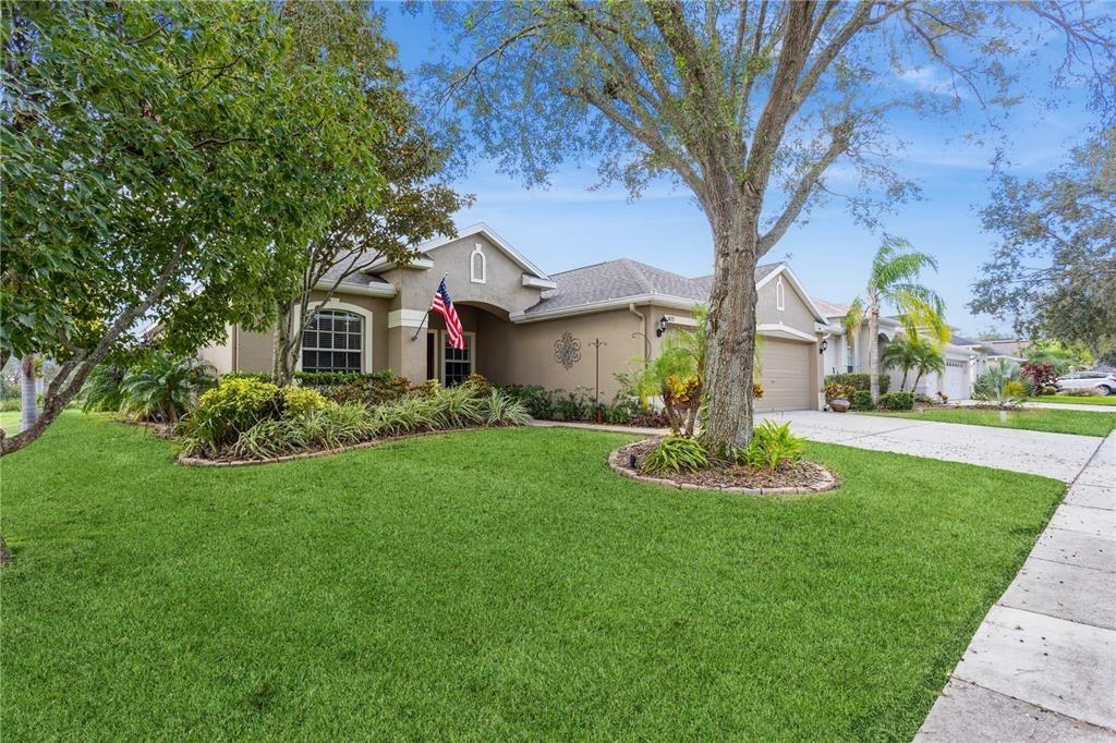 Emerald Hill Way, Valrico, FL 33594