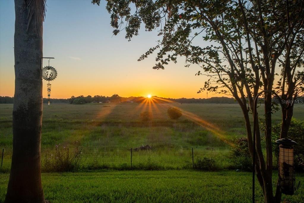 Ivydale Rd, Spring Hill, FL 34606