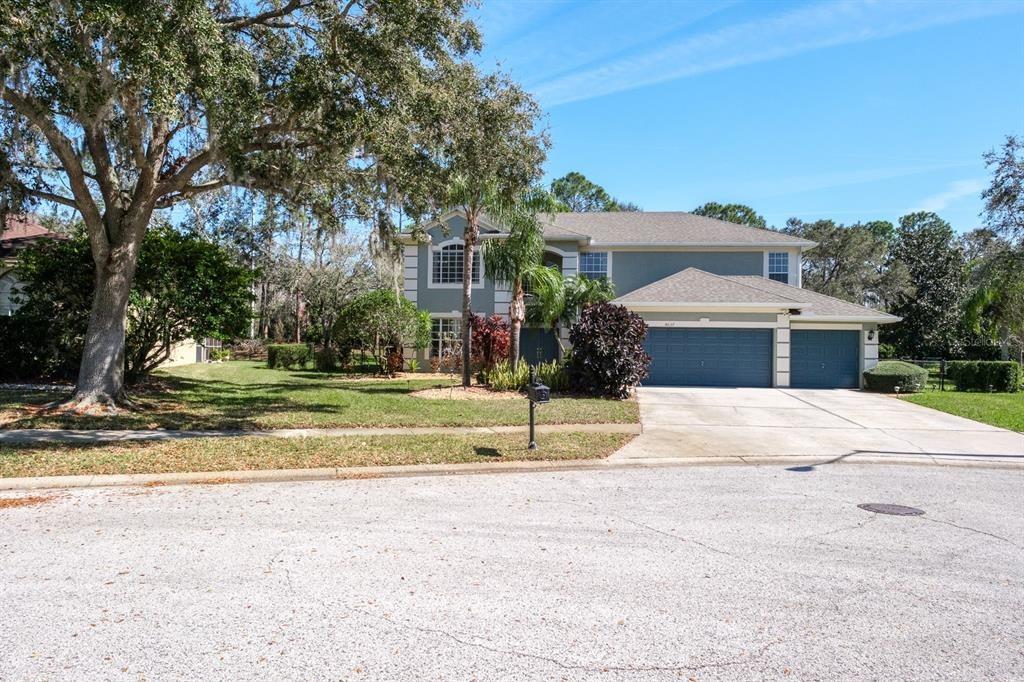Auston Way, Palm Harbor, FL 34685