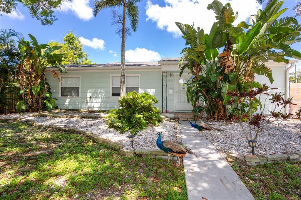 28th Ave N, Saint Petersburg, FL 33710