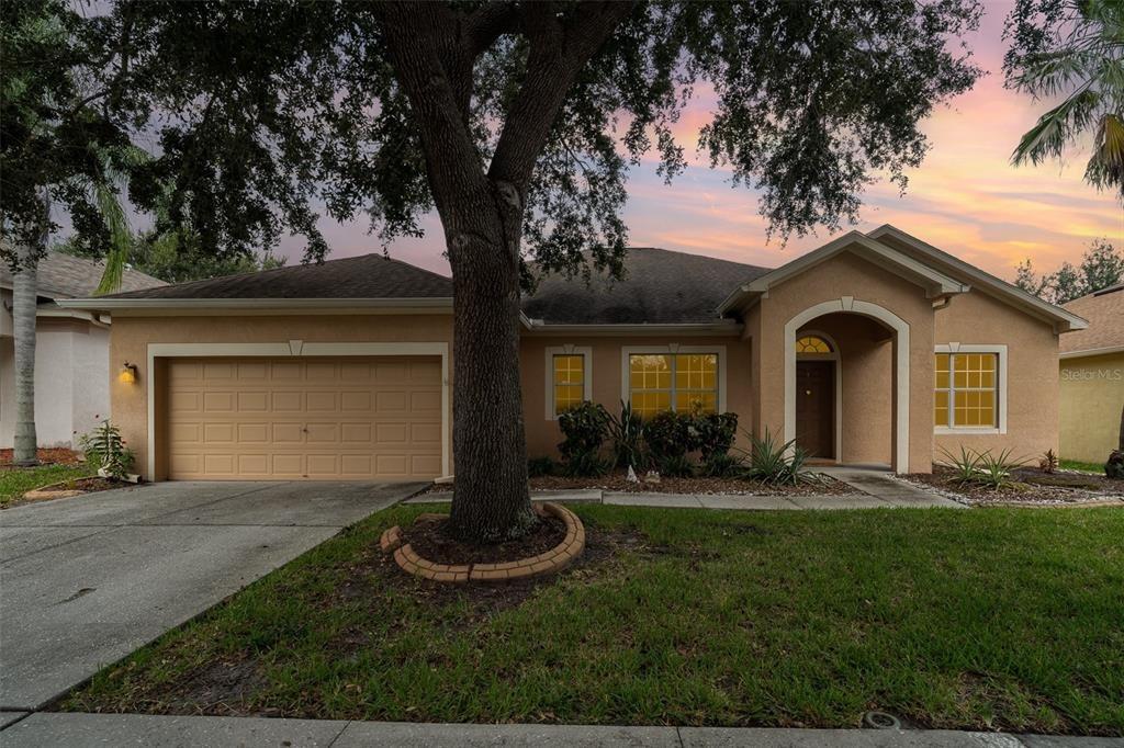 Wildcat Dr, Riverview, FL 33579