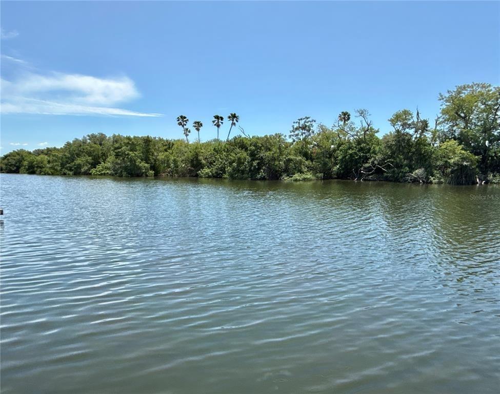 Mount Oak Ave Ne, Saint Petersburg, FL 33702