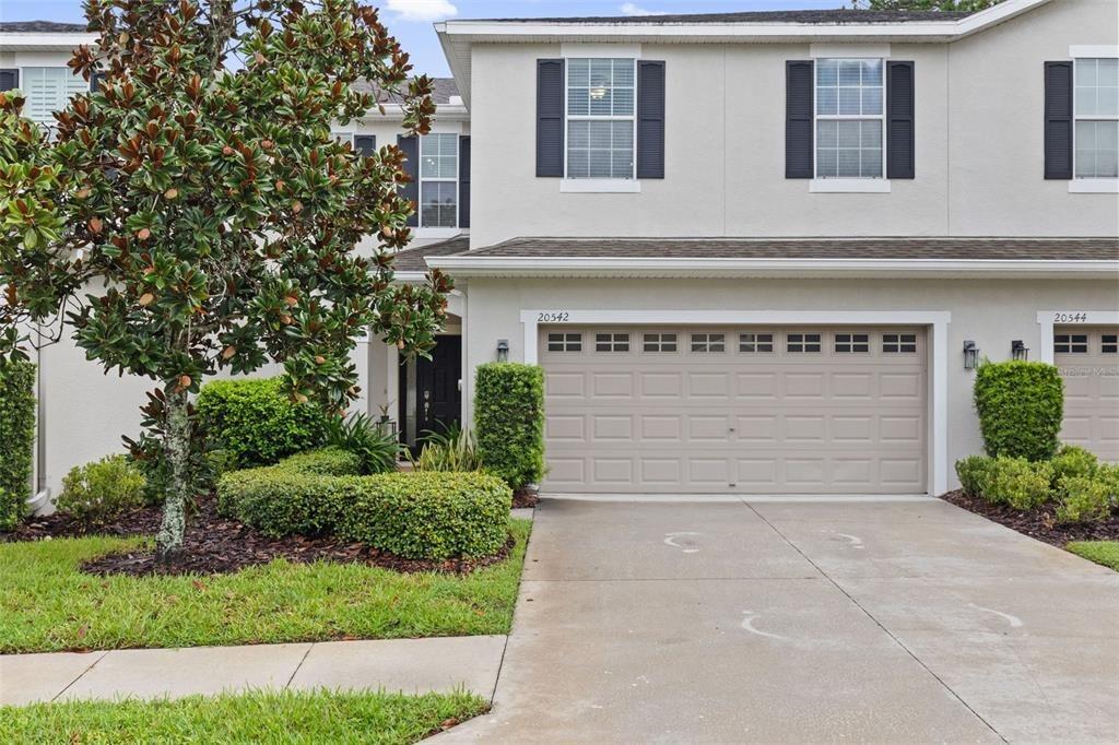 Grand Vista Ln, Tampa, FL 33647