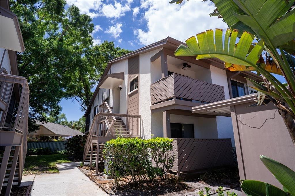 Tabor Ct, Safety Harbor, FL 34695