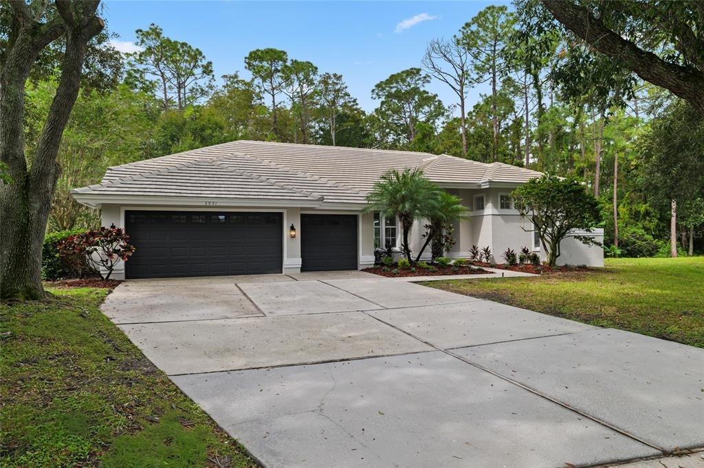 Brightside Ln, Palm Harbor, FL 34685