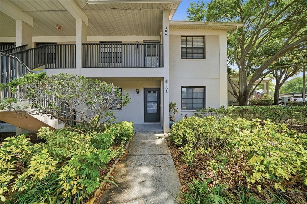 Elm St, Dunedin, FL 34698