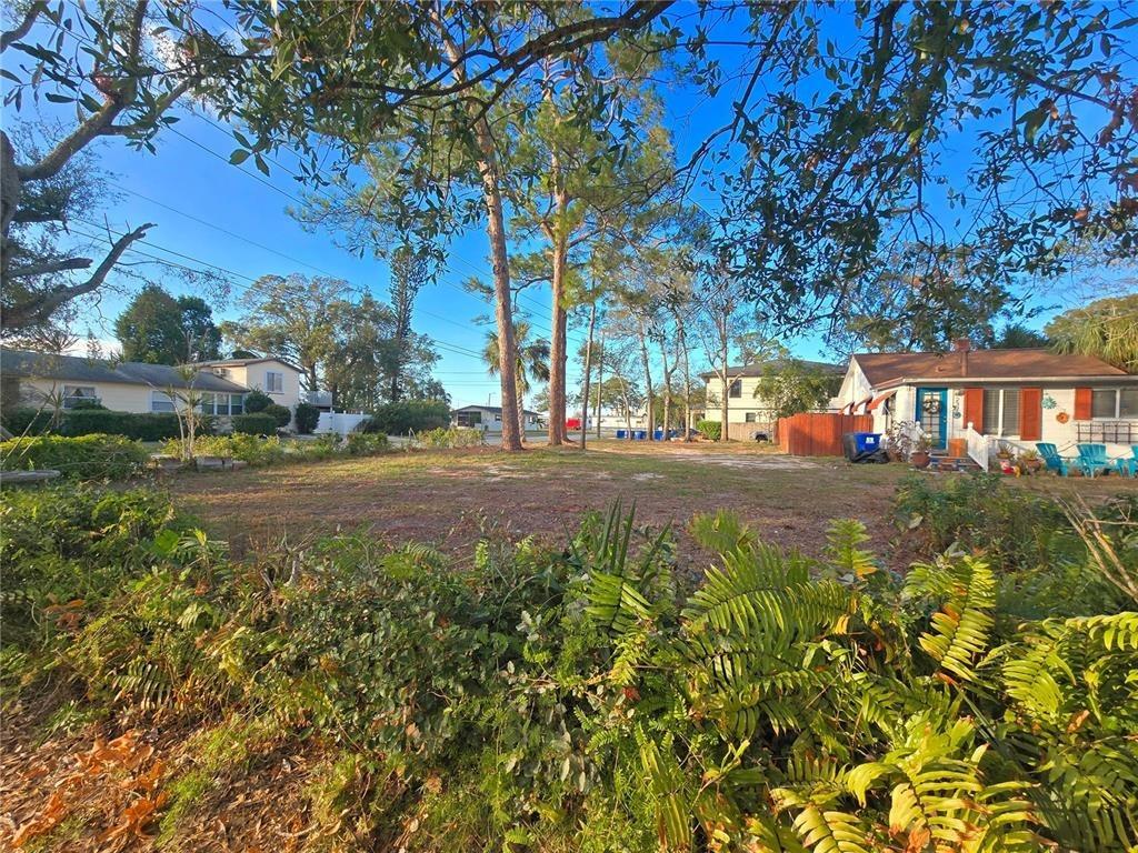 50th Ave N, Saint Petersburg, FL 33703