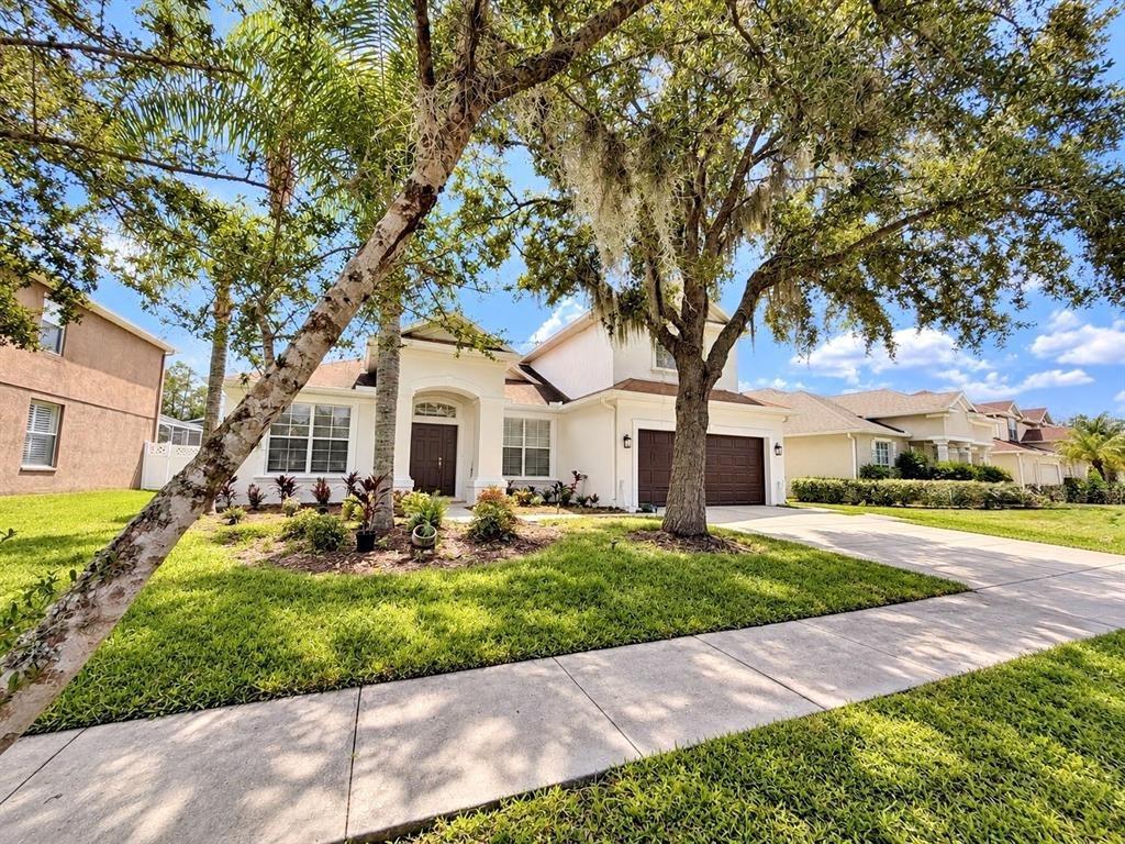Firebush Dr, Wesley Chapel, FL 33544