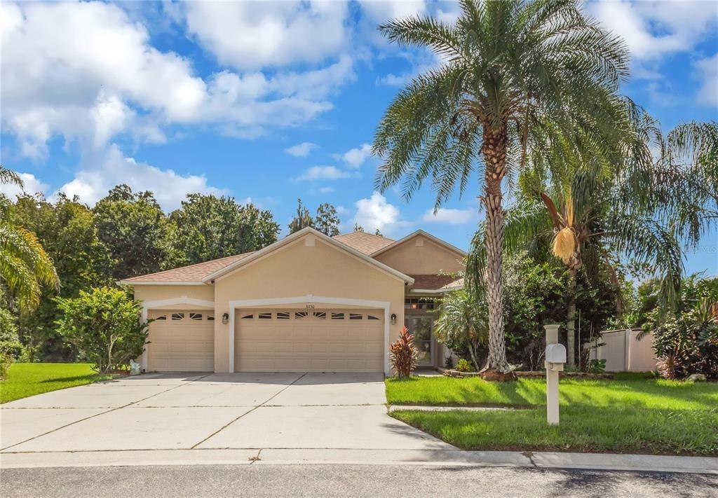 Alchester Dr, Wesley Chapel, FL 33543