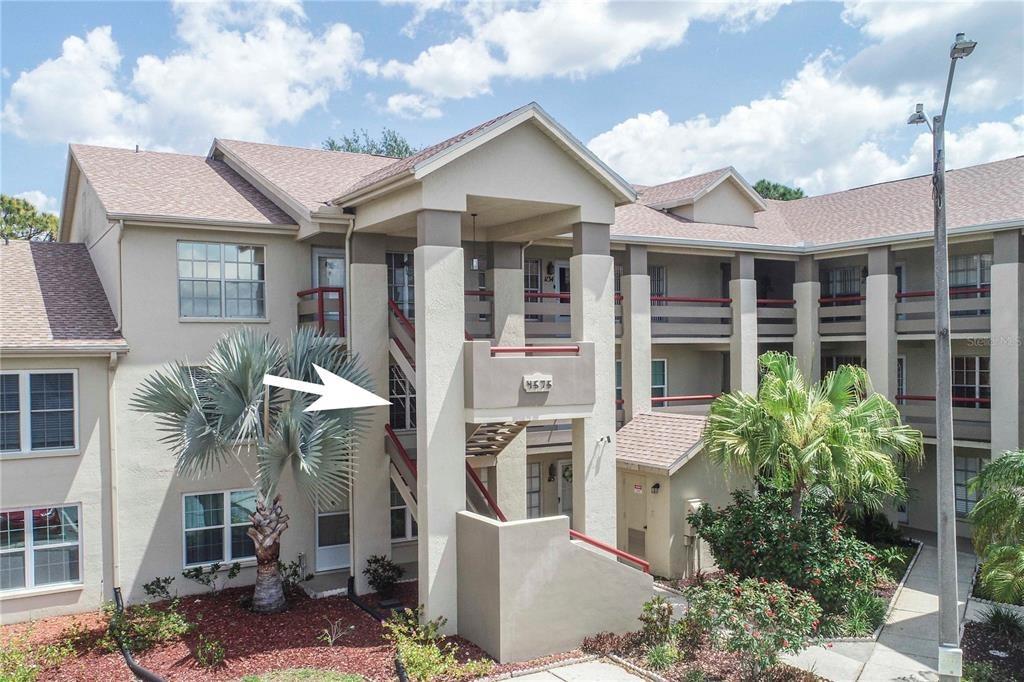 Whitton Way, New Port Richey, FL 34653