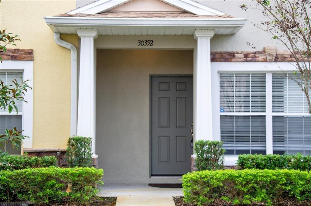 Elderwood Dr, Wesley Chapel, FL 33543