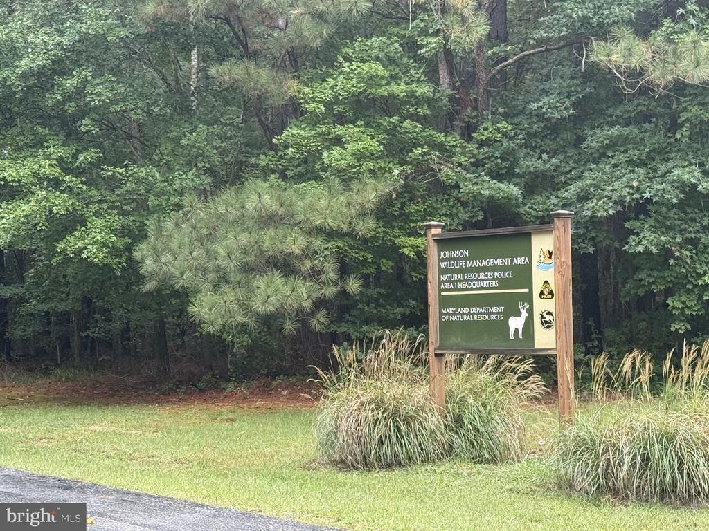 Mount Olive Rd, Salisbury, MD 21804