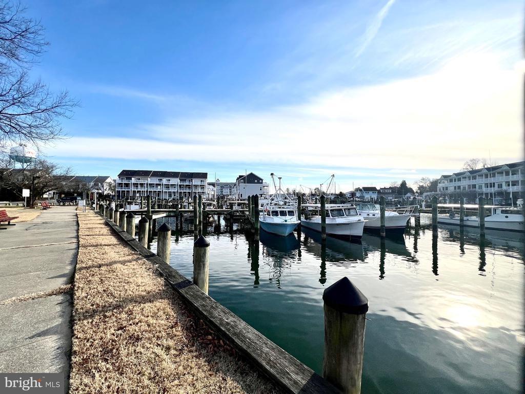 Cattail Cv, Cambridge, MD 21613