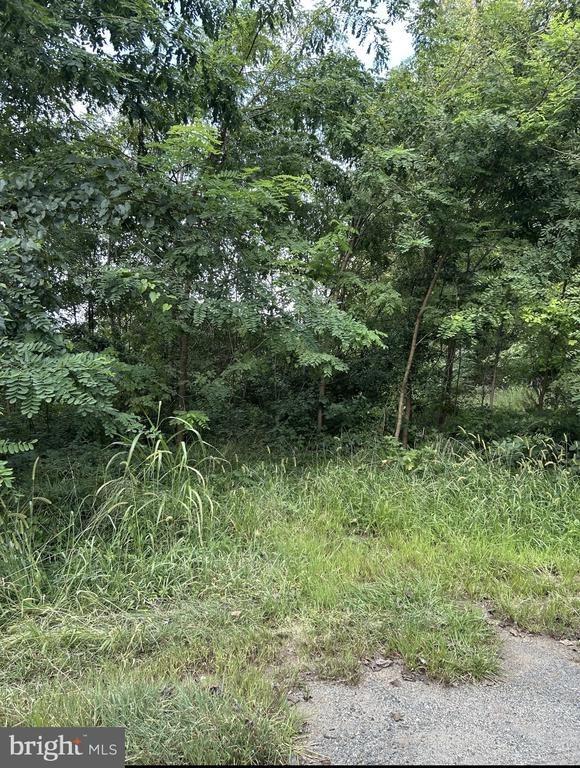 Bowler Ln, Orange, VA 22960