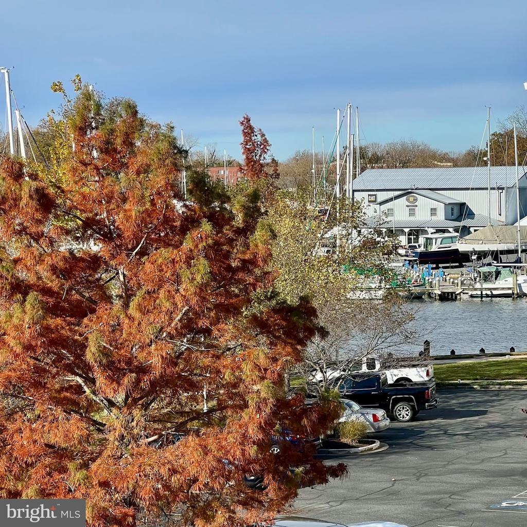 Seaway Ln, Cambridge, MD 21613