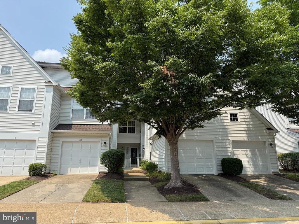 Netties Ln, Alexandria, VA 22315