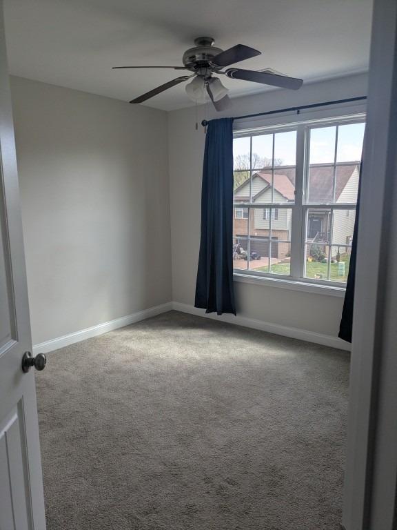 Snowshoe Ln, Clarksville, TN 37040
